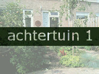 achtertuin1